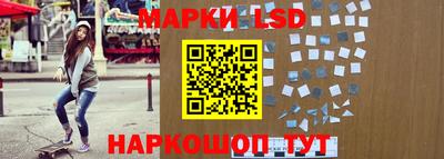 гидропоника Донской