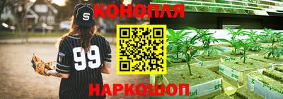 тгк Дубна