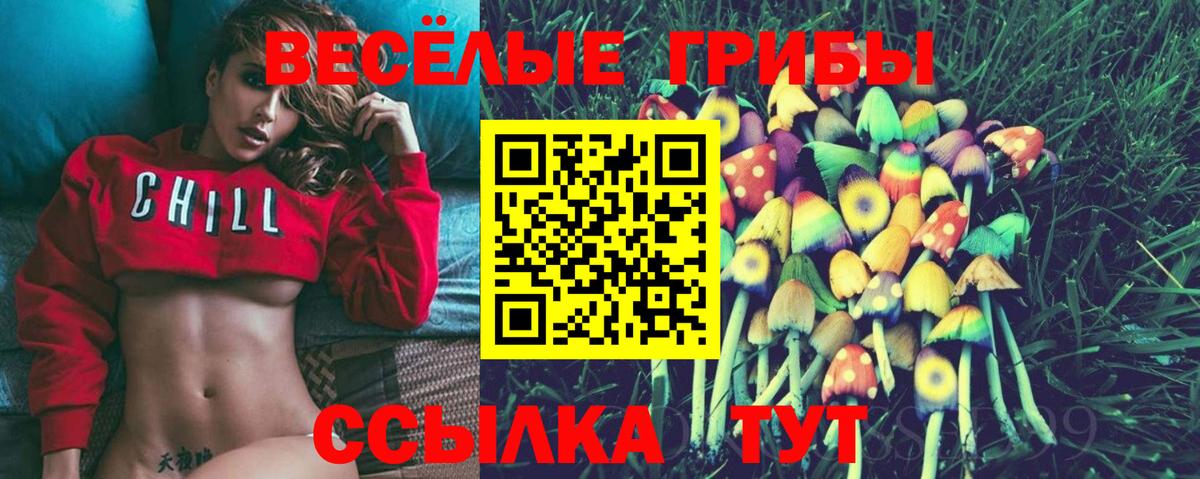 Галлюциногенные грибы Cubensis  Вход с VPN  где можно купить   Новокубанск  Галлюциногенные грибы прущие грибы 
