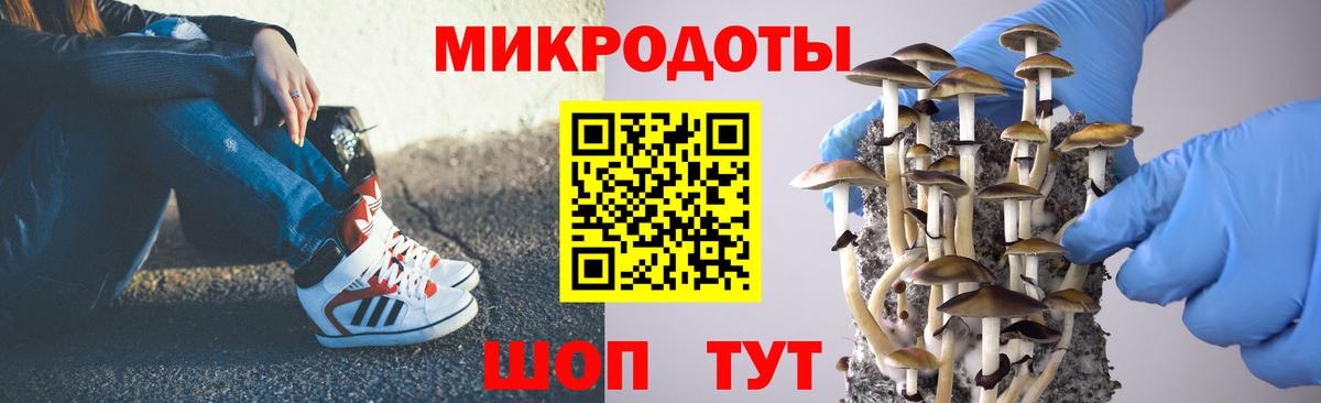 Псилоцибиновые грибы мухоморы Новокубанск